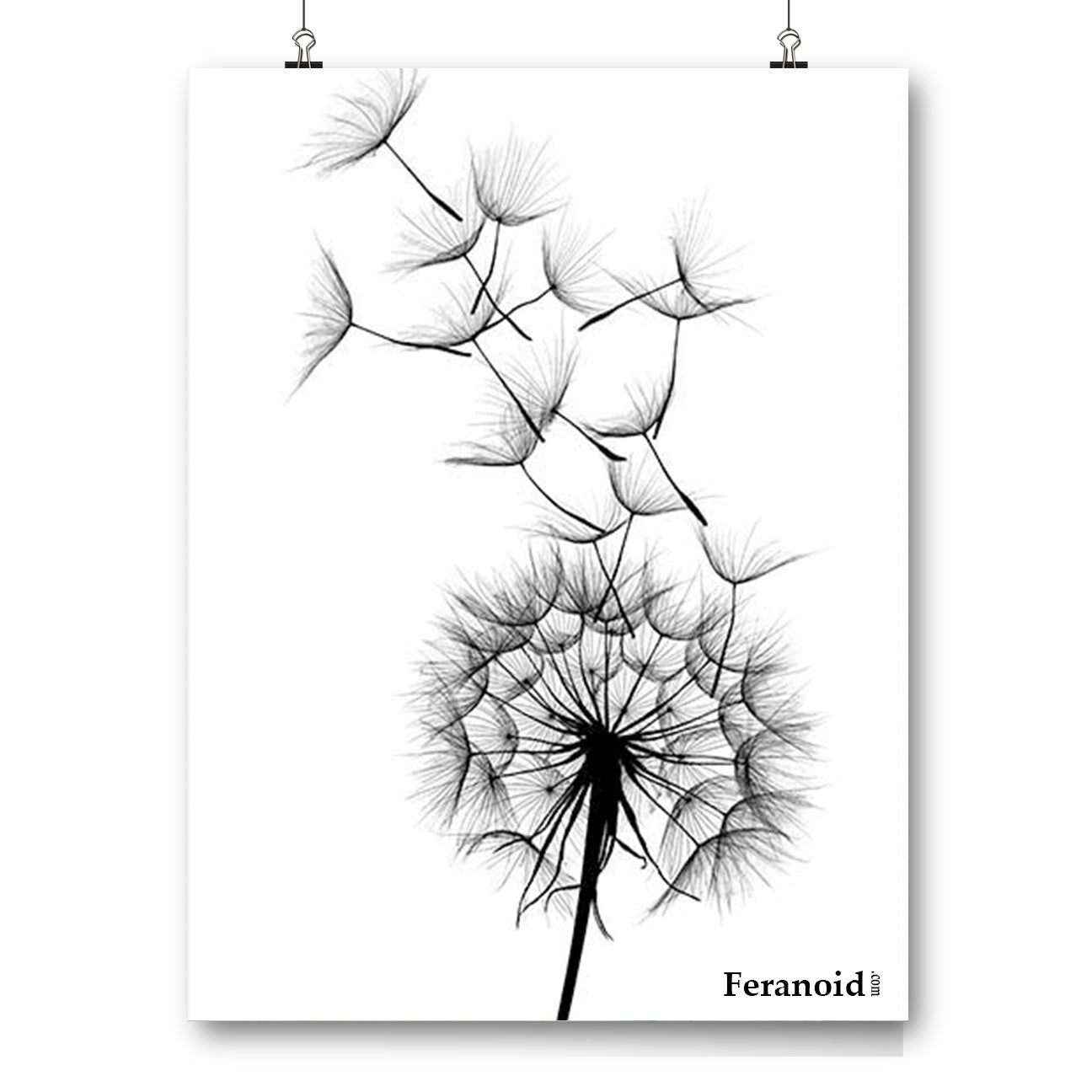 BLACK DANDELION POSTER