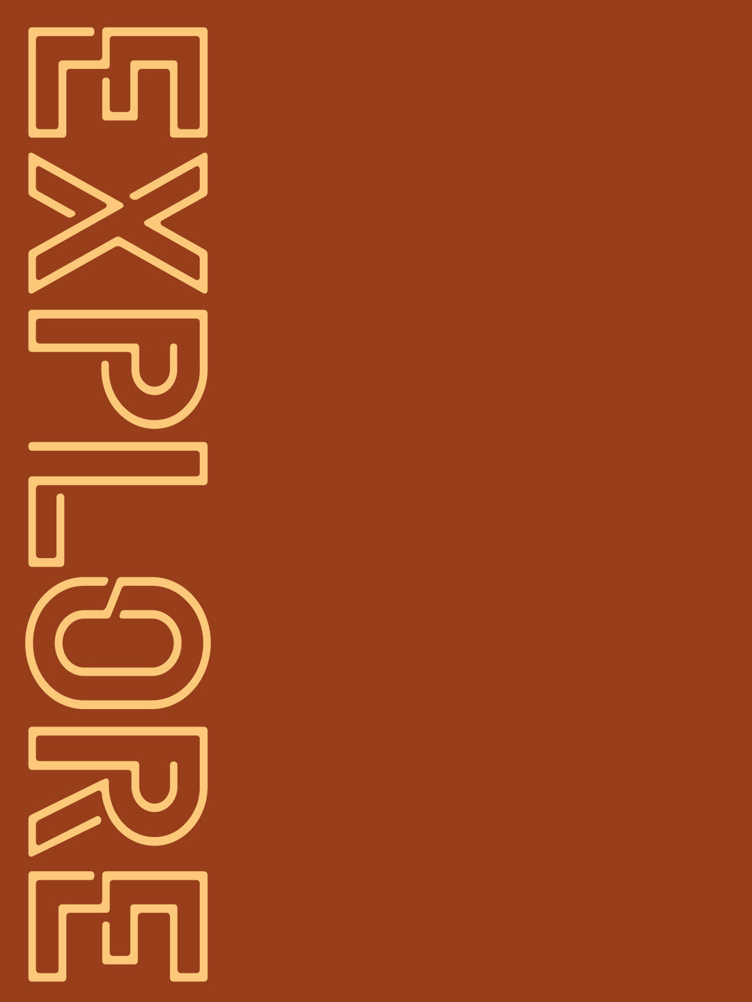 Explore Side Print Brown T-Shirt