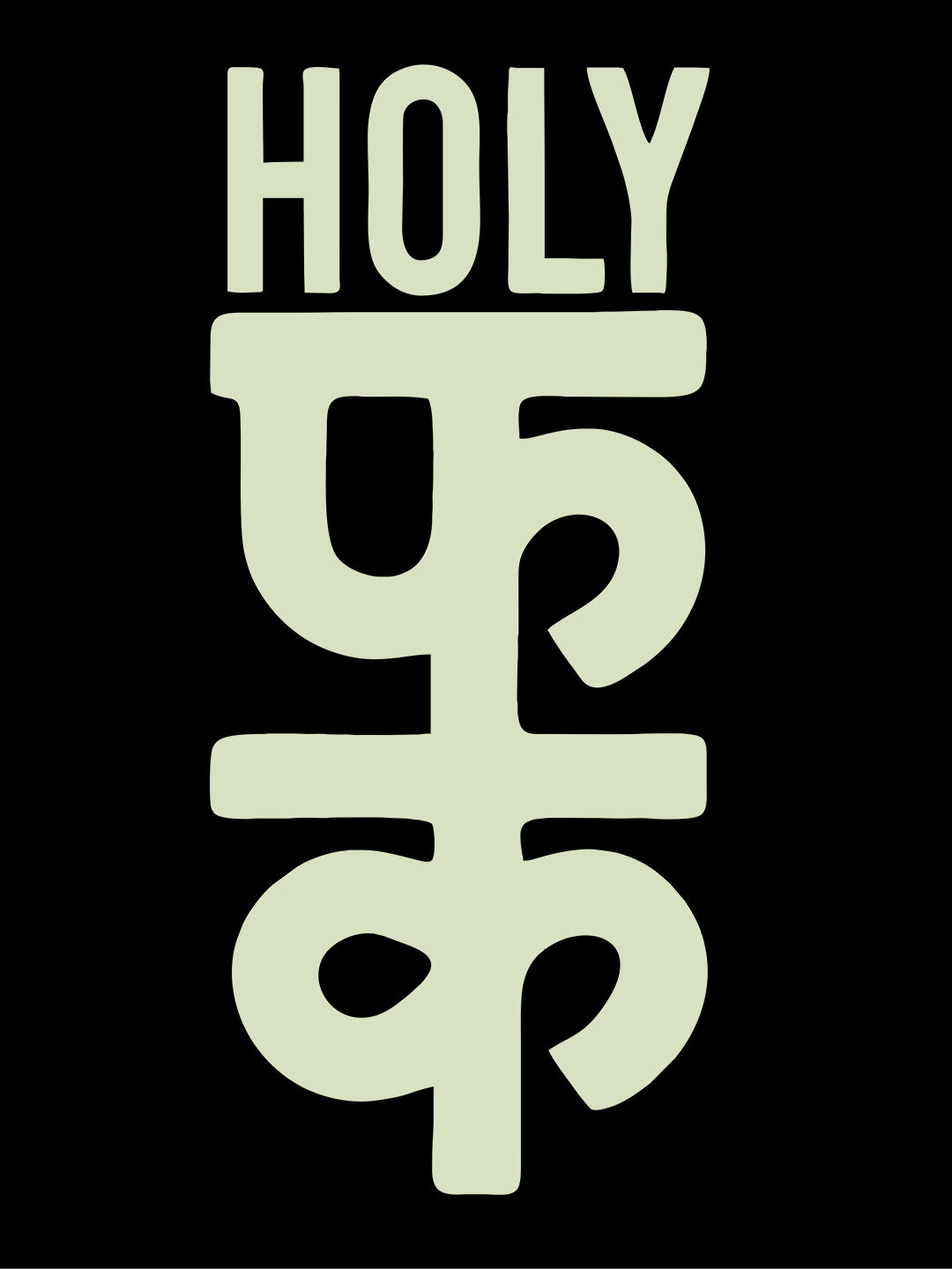 Holy Fuck Black T-Shirt