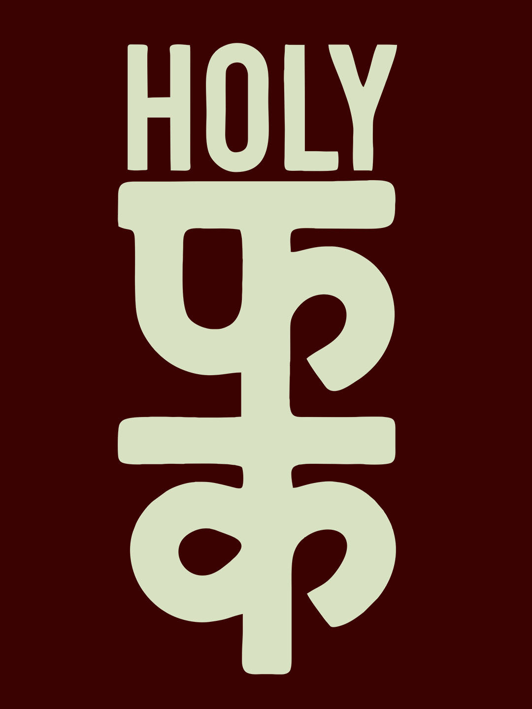 Holy Fuck Black T-Shirt