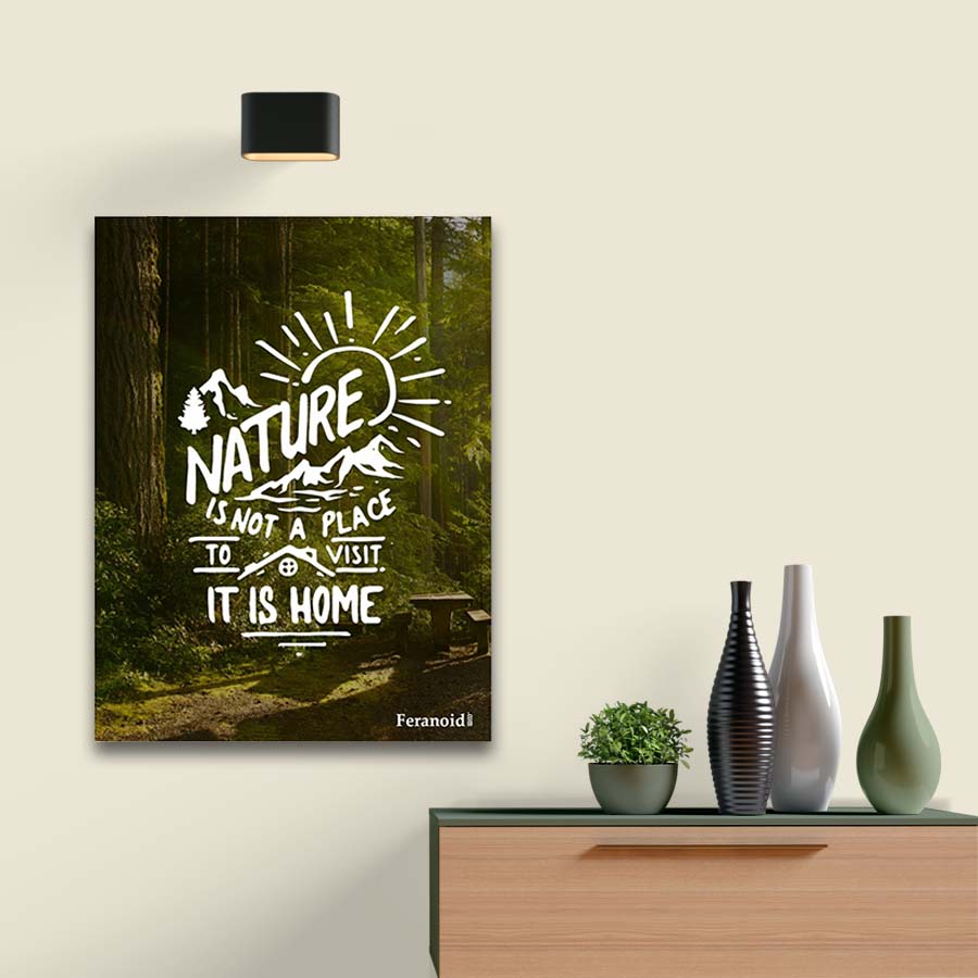 NATURE IS NOT A PLACE POSTER